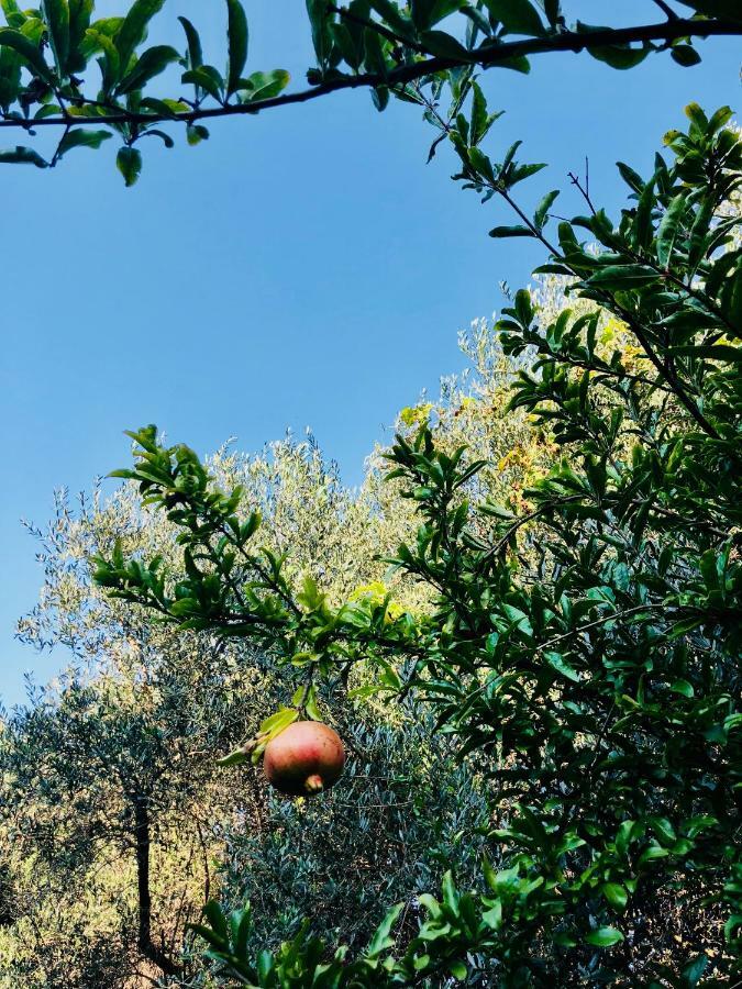Bed and Breakfast Ricomincio Da 3 Pompei Exterior foto